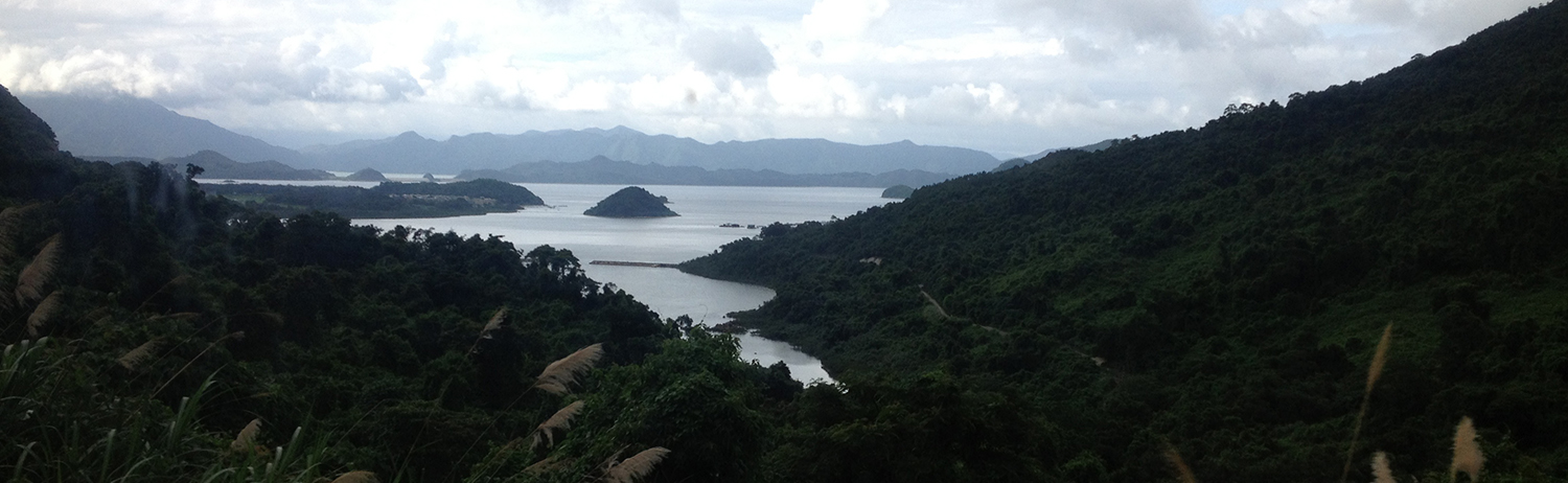 Lanscape Forest River Pano